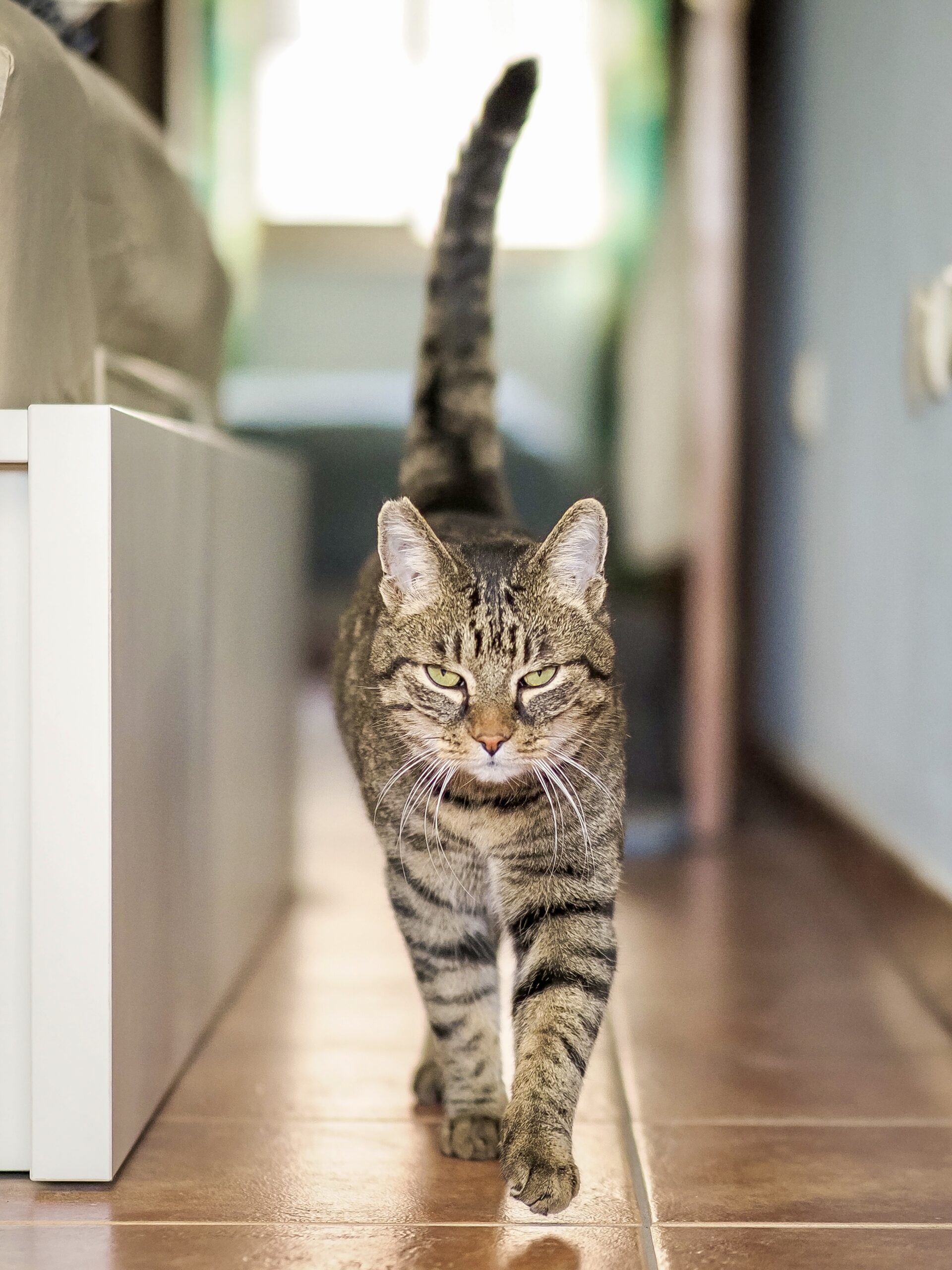 a sign that says team work on it